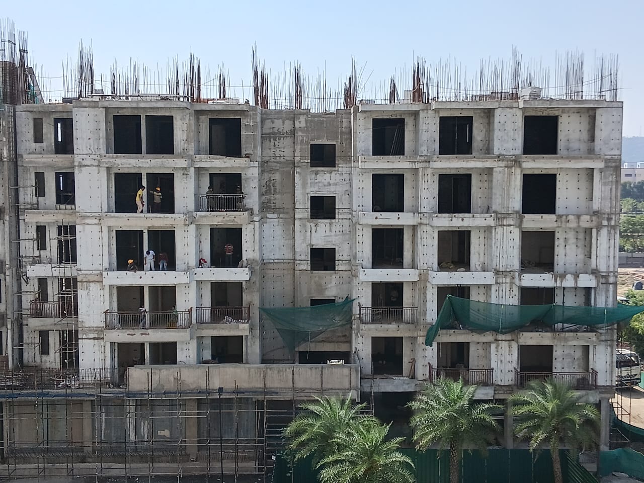 T6 - Development Photograph - 03/03/2025